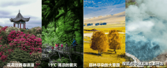 分三期开辟扶植地面积164亩